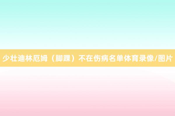 少壮迪林厄姆（脚踝）不在伤病名单体育录像/图片
