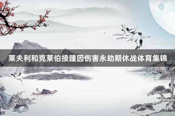 莱夫利和克莱伯接踵因伤害永劫期休战体育集锦