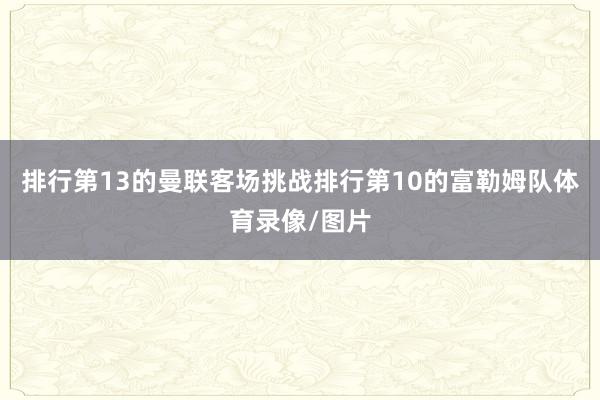 排行第13的曼联客场挑战排行第10的富勒姆队体育录像/图片