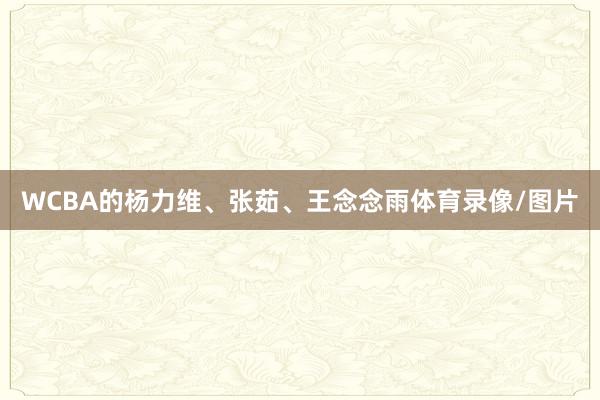 WCBA的杨力维、张茹、王念念雨体育录像/图片