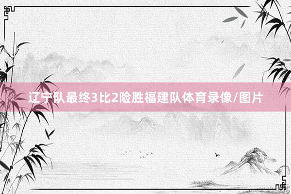 辽宁队最终3比2险胜福建队体育录像/图片