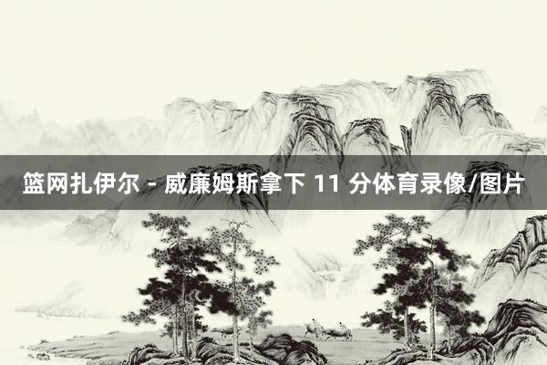 篮网扎伊尔 - 威廉姆斯拿下 11 分体育录像/图片