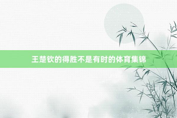 王楚钦的得胜不是有时的体育集锦