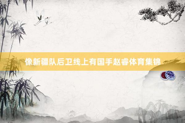 像新疆队后卫线上有国手赵睿体育集锦