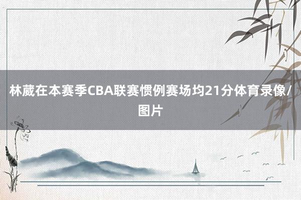 林葳在本赛季CBA联赛惯例赛场均21分体育录像/图片