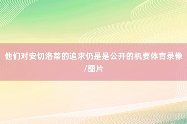 他们对安切洛蒂的追求仍是是公开的机要体育录像/图片