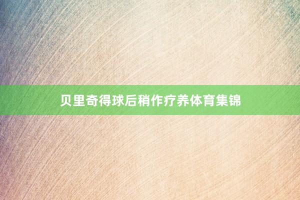 贝里奇得球后稍作疗养体育集锦