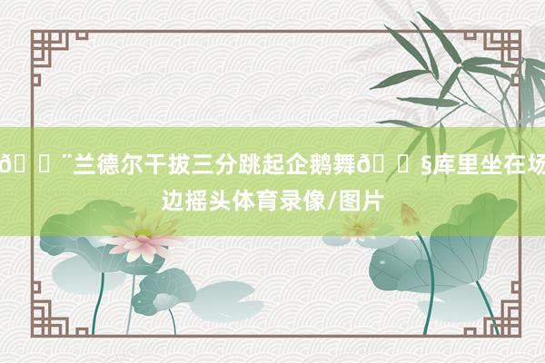 😨兰德尔干拔三分跳起企鹅舞🐧库里坐在场边摇头体育录像/图片