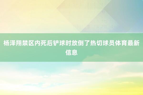 杨泽翔禁区内死后铲球时放倒了热切球员体育最新信息