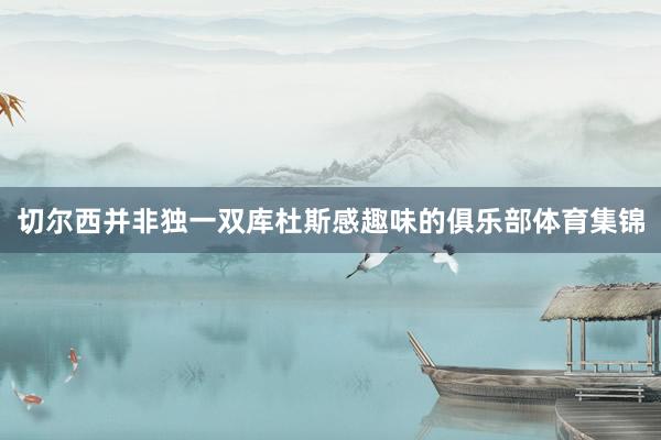 切尔西并非独一双库杜斯感趣味的俱乐部体育集锦