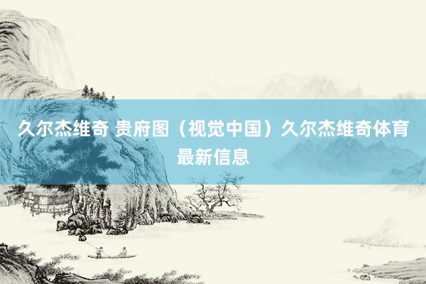 久尔杰维奇 贵府图(视觉中国)久尔杰维奇体育最新信息