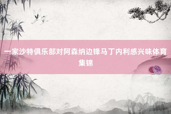 一家沙特俱乐部对阿森纳边锋马丁内利感兴味体育集锦