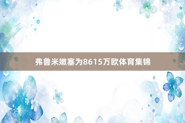 弗鲁米嫩塞为8615万欧体育集锦
