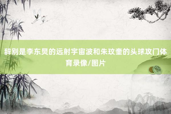 辞别是李东炅的远射宇宙波和朱玟奎的头球攻门体育录像/图片