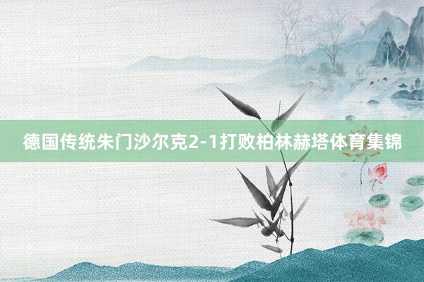德国传统朱门沙尔克2-1打败柏林赫塔体育集锦