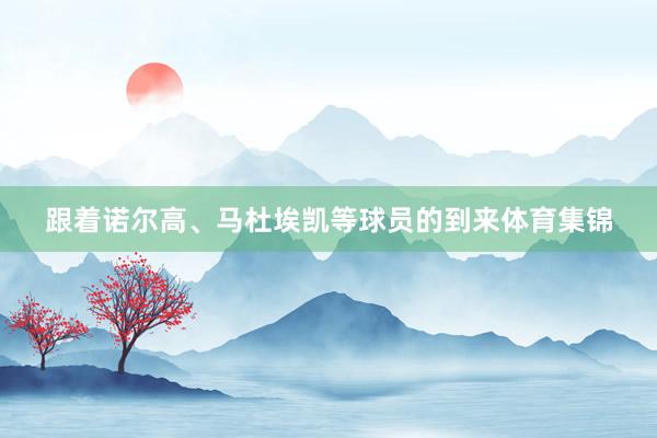 跟着诺尔高、马杜埃凯等球员的到来体育集锦