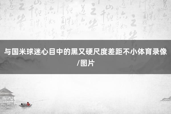 与国米球迷心目中的黑又硬尺度差距不小体育录像/图片