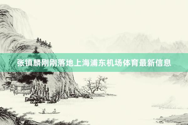 张镇麟刚刚落地上海浦东机场体育最新信息