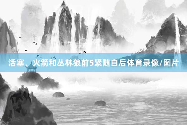 活塞、火箭和丛林狼前5紧随自后体育录像/图片