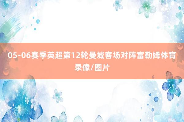 05-06赛季英超第12轮曼城客场对阵富勒姆体育录像/图片