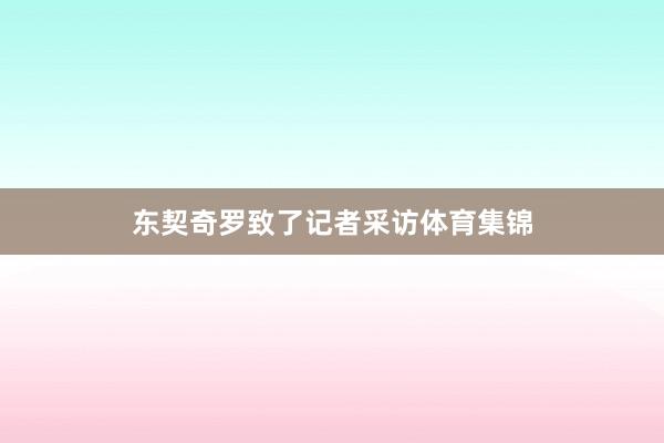 东契奇罗致了记者采访体育集锦