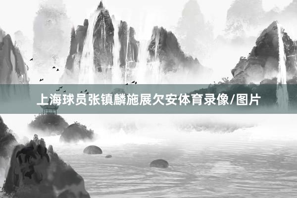 上海球员张镇麟施展欠安体育录像/图片