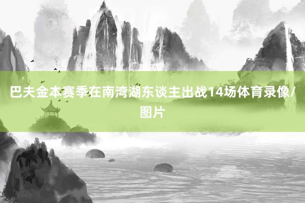 巴夫金本赛季在南湾湖东谈主出战14场体育录像/图片