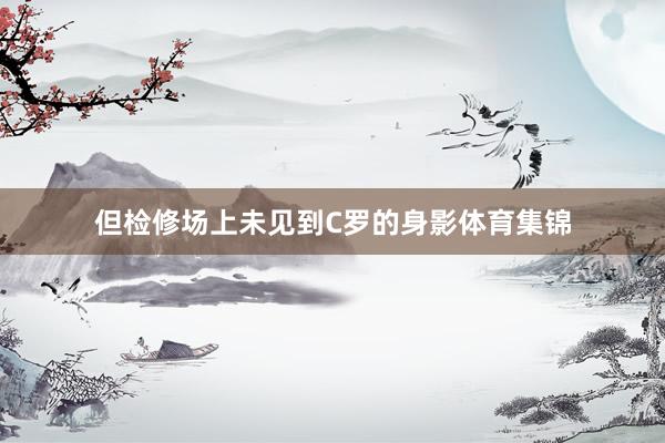 但检修场上未见到C罗的身影体育集锦