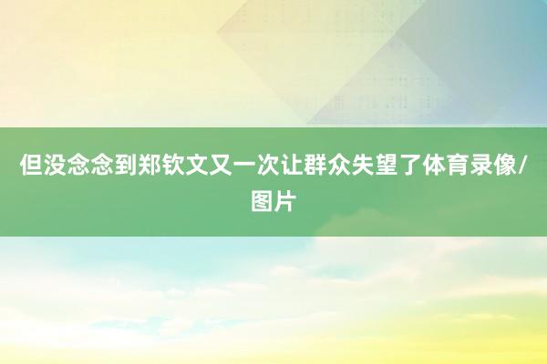 但没念念到郑钦文又一次让群众失望了体育录像/图片
