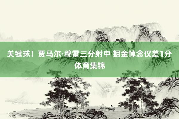 关键球！贾马尔·穆雷三分射中 掘金悼念仅差1分体育集锦