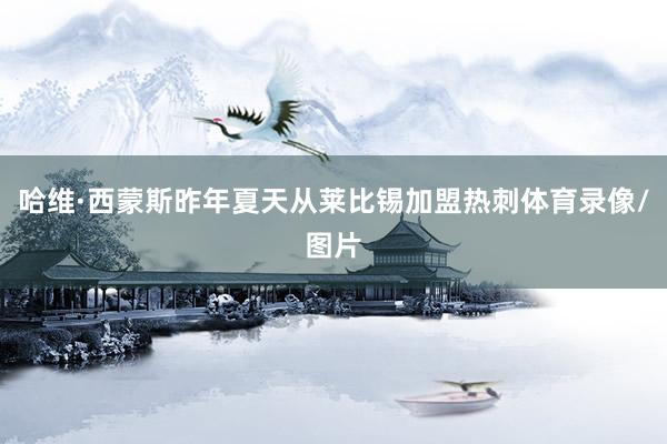 哈维·西蒙斯昨年夏天从莱比锡加盟热刺体育录像/图片