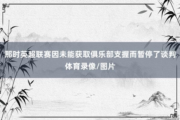那时英超联赛因未能获取俱乐部支握而暂停了谈判体育录像/图片