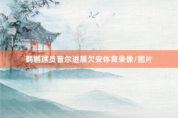 鹈鹕球员普尔进展欠安体育录像/图片