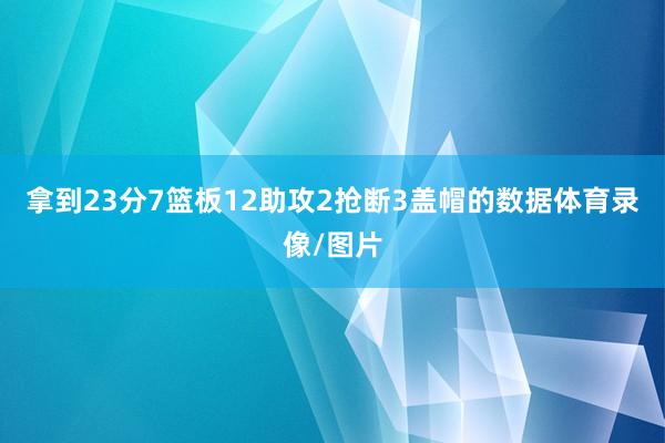 拿到23分7篮板12助攻2抢断3盖帽的数据体育录像/图片