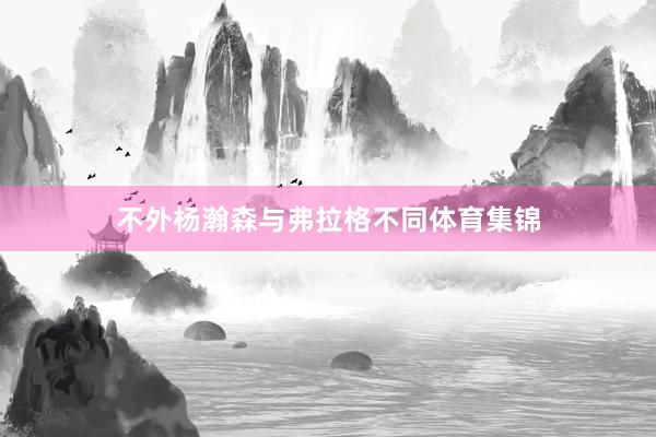 不外杨瀚森与弗拉格不同体育集锦