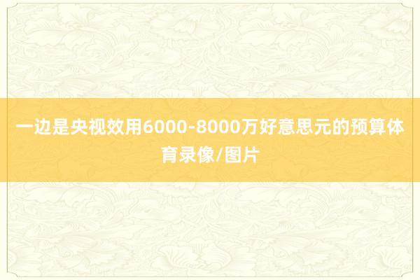 一边是央视效用6000-8000万好意思元的预算体育录像/图片