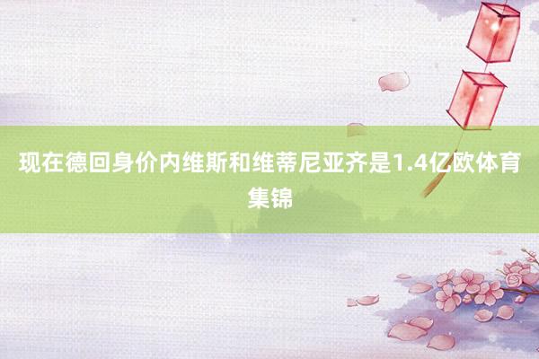 现在德回身价内维斯和维蒂尼亚齐是1.4亿欧体育集锦