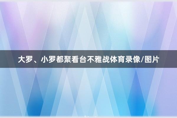 大罗、小罗都聚看台不雅战体育录像/图片