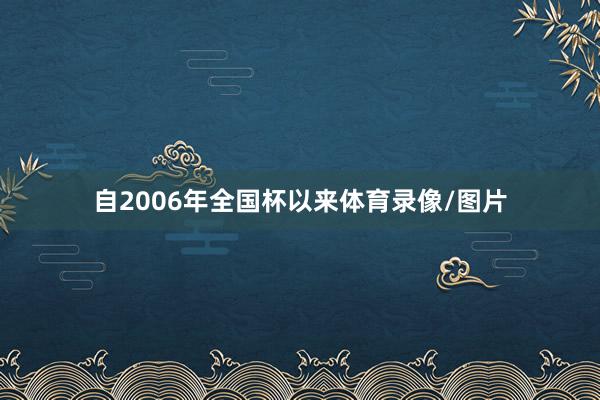 自2006年全国杯以来体育录像/图片